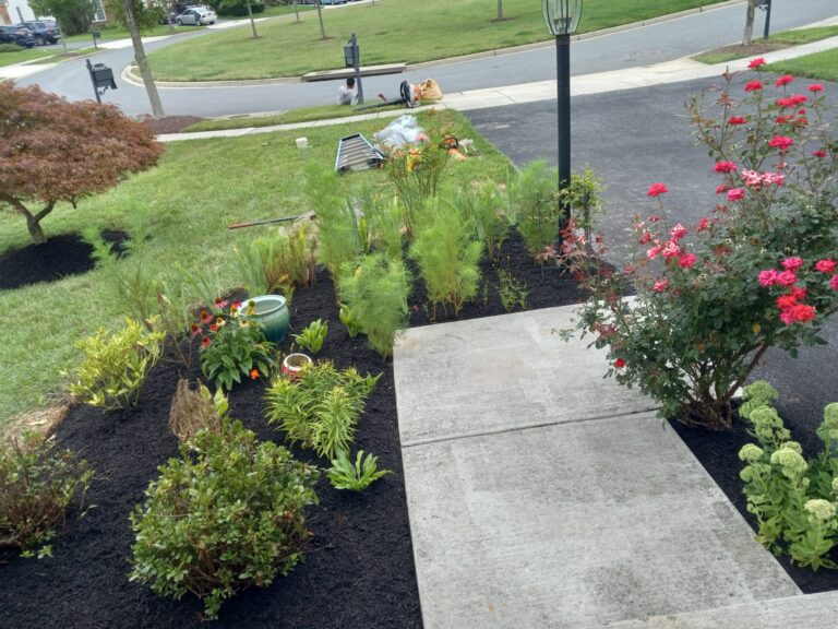 landscaping service in montgemory