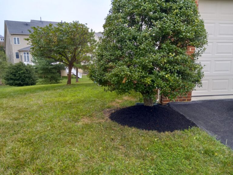 landscaping service in maryland