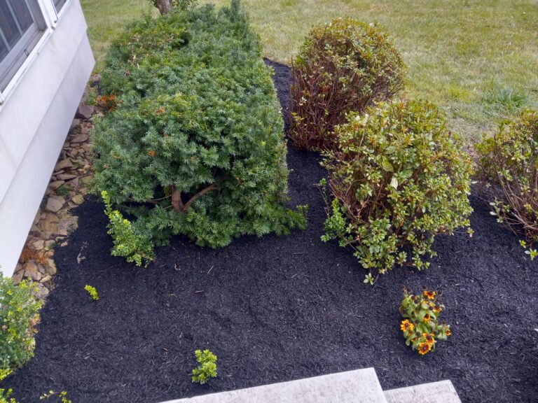 landscaping service