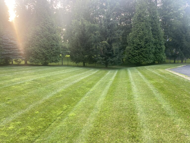 landscaping service