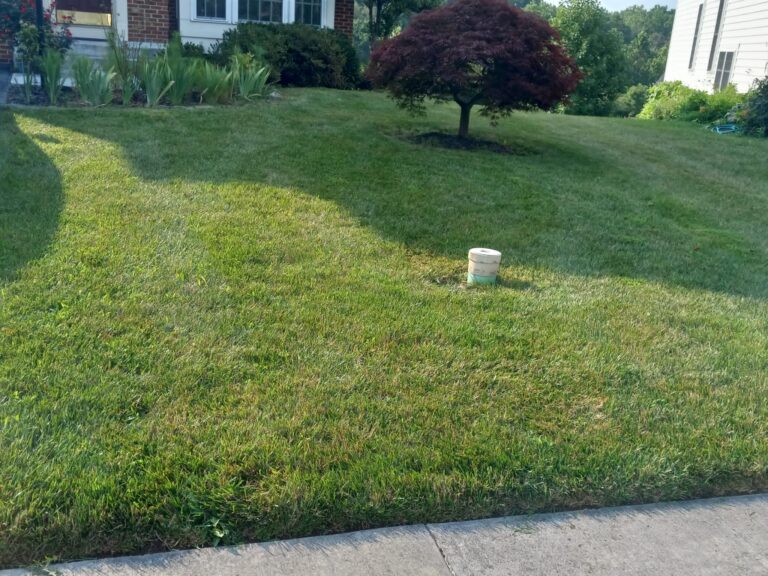 landscaping service