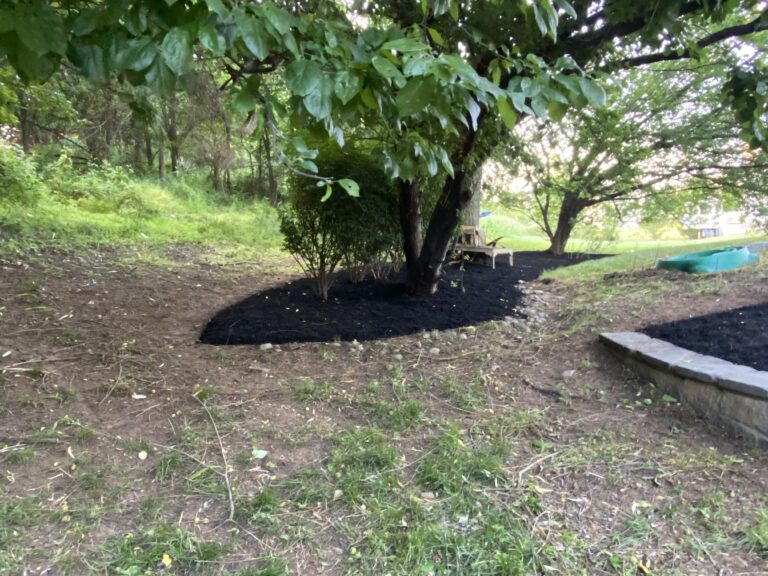 landscaping service